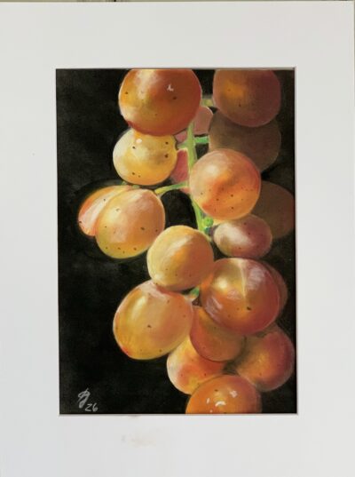 „Sonnenfänger“